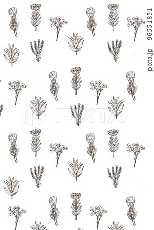 落ち着いたワイルドフラワーのイラストパターン 96551851