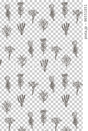 落ち着いたワイルドフラワーのイラストパターン 96551851