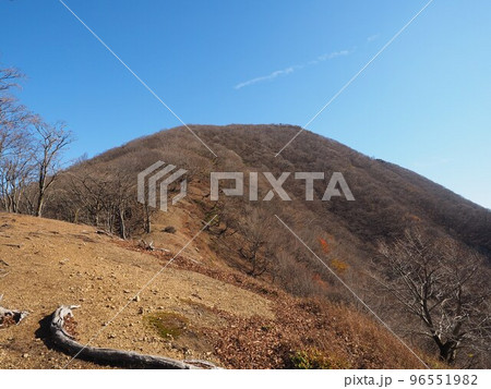 西尾根から見た藤原岳　2022年11月 96551982