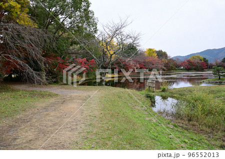 大覚寺大沢池の秋 96552013