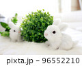 白いうさぎと丸いグリーン1 96552210