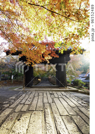 紅葉が美しい秋月城跡（福岡県朝倉市） 96552489