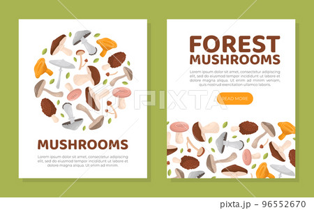 Forest mushrooms mobile app and card templates set. Mushrooms web banner, flyer template set cartoon vector Forest mushrooms mobile app and card templates set. Mushrooms web banner, flyer template set cartoon vector 96552670