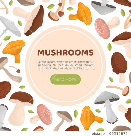 Mushrooms web banner with space for text. Forest edible mushrooms landing page, website cartoon vector 96552672