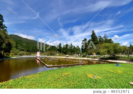 庭 庭園 ガーデン 96552971