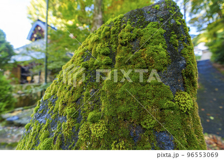 登美霊社(石切剣箭神社上ノ社 境内社) 登美霊社(石切剣箭神社上ノ社 境内社) 96553069
