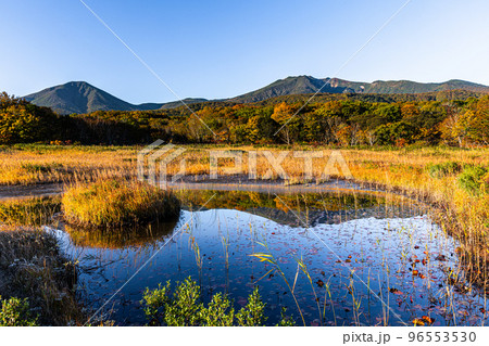 【青森県・八甲田】紅葉時期の田代平湿原の秋 10月 96553530