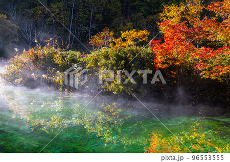【青森県・八甲田】紅葉時期の田代平湿原の秋 10月 【青森県・八甲田】紅葉時期の田代平湿原の秋 10月 96553555