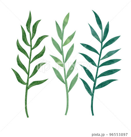 Set of green leaves elements. Watercolor floral illustrations. Collection botanical isolated on white background 96553897