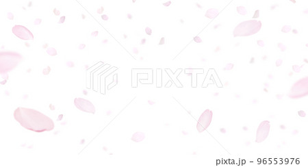 桜の花びら イラスト リアル 96553976
