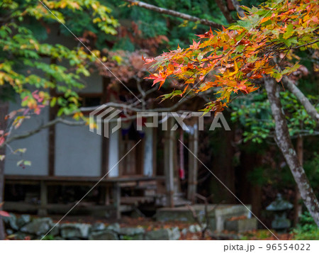 初秋の紅葉とやしろ 96554022