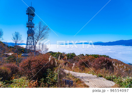【雲海素材】秋の陣馬形山から眺める伊那谷の雲海【長野県】 96554097