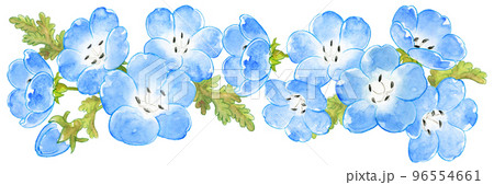 春の青いネモフィラの水彩画横ライン 96554661