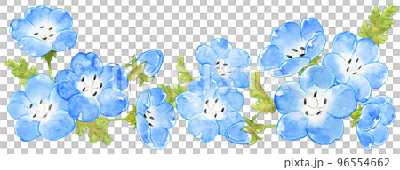 Spring blue nemophila watercolor horizontal line 96554662