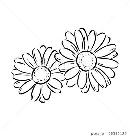 Flower Line Drawing Vector Art Icons and Graphics for Free Download