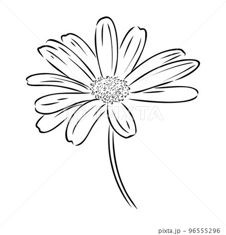 Vintage black and white daisy bouquet drawing png download - 2464*3648 -  Free Transparent Cartoon png Download. - CleanPNG / KissPNG