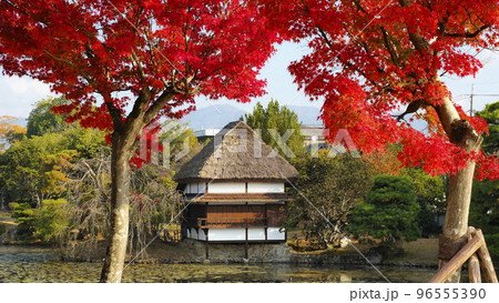津山市衆楽園（晩秋）6 96555390