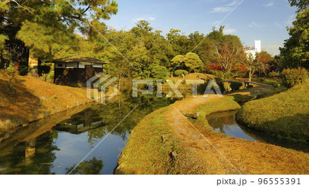 津山市衆楽園(晩秋)7 津山市衆楽園(晩秋)7 96555391