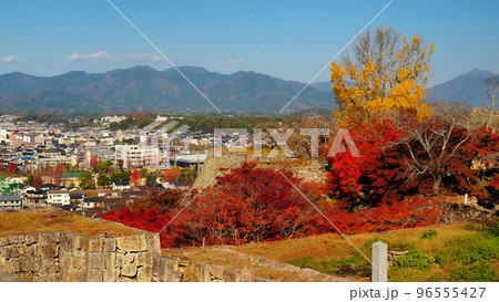 津山城跡(晩秋)1 津山城跡(晩秋)1 96555427