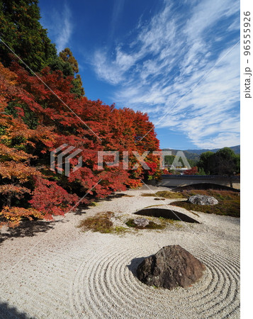 京都　岩倉　実相院の紅葉　こころのお庭 96555926