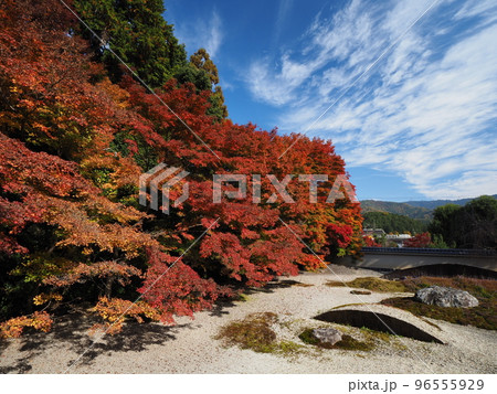 京都　岩倉　実相院の紅葉　こころのお庭 96555929