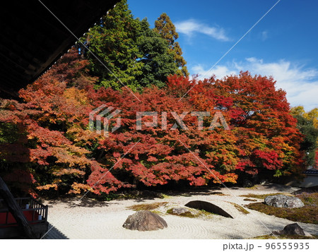 京都 岩倉 実相院の紅葉 こころのお庭 京都 岩倉 実相院の紅葉 こころのお庭 96555935