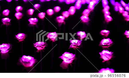 東京メガイルミの、色鮮やかな煌めきに感動 96556076