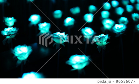 東京メガイルミの、メガイルミショーに感動 96556077