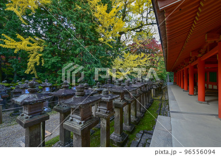【奈良】春日大社と燈籠、紅葉 96556094