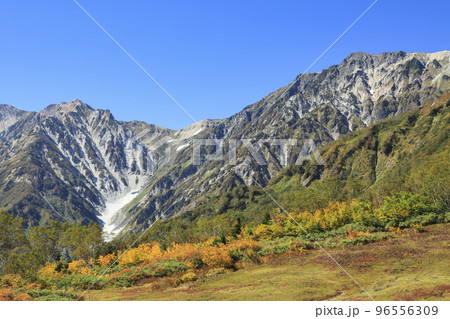 白馬連峰を望む栂池自然園　自然の宝庫 96556309