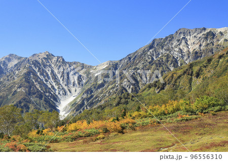 白馬連峰を望む栂池自然園　自然の宝庫 96556310