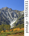 白馬連峰を望む栂池自然園　自然の宝庫 96556331