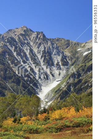 白馬連峰を望む栂池自然園　自然の宝庫 96556331