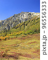 白馬連峰を望む栂池自然園　自然の宝庫 96556333