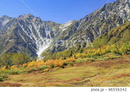 白馬連峰を望む栂池自然園　自然の宝庫 96556342