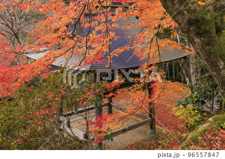 紅葉見頃な天開山泰運寺 紅葉見頃な天開山泰運寺 96557847
