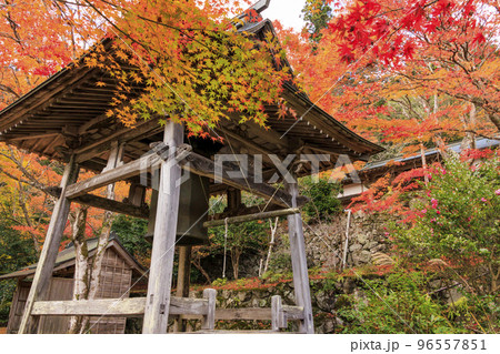 紅葉見頃な天開山泰運寺 96557851