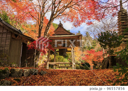 紅葉見頃な天開山泰運寺 紅葉見頃な天開山泰運寺 96557856