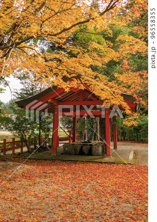 紅葉見頃な北畠神社と北畠氏館跡庭園 96558355
