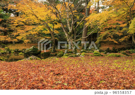 紅葉見頃な北畠神社と北畠氏館跡庭園 96558357