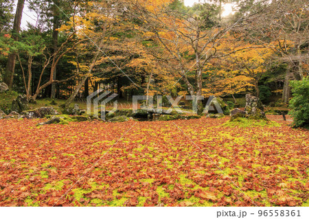 紅葉見頃な北畠神社と北畠氏館跡庭園 96558361