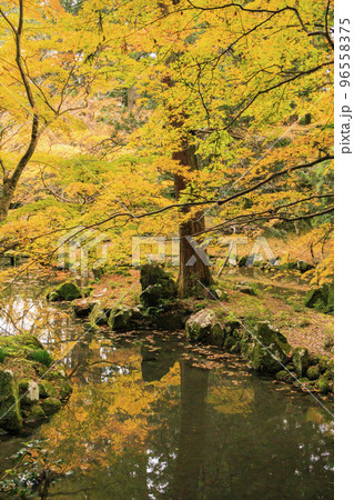 紅葉見頃な北畠神社と北畠氏館跡庭園 96558375