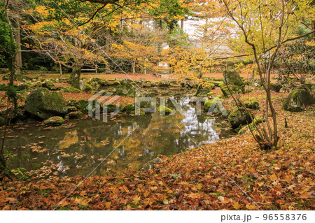 紅葉見頃な北畠神社と北畠氏館跡庭園 紅葉見頃な北畠神社と北畠氏館跡庭園 96558376