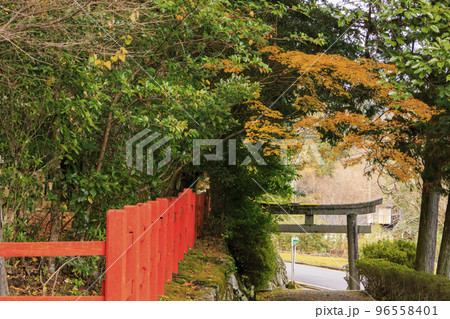 紅葉見頃な北畠神社と北畠氏館跡庭園 紅葉見頃な北畠神社と北畠氏館跡庭園 96558401