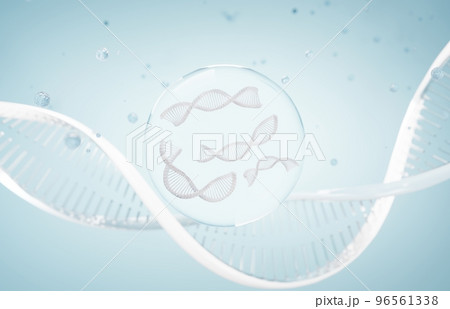 DNA spiral structure. DNA Helix complementary strand of Sequences genetic code or genome. Gene expression. nucleotide database. The Central Dogma process of transcription and translation. 3D Render. DNA spiral structure. DNA Helix complementary strand of Sequences genetic code or genome. Gene expression. nucleotide database. The Central Dogma process of transcription and translation. 3D Render. 96561338