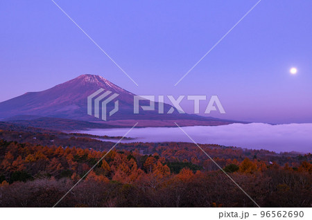 沈む満月と朝焼けに染まる富士山 96562690
