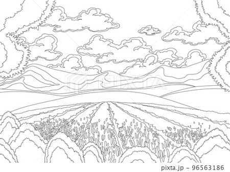 Lavender field landscape in coloring style. Hand drawn flowers, growing and blooming scene, meadow with mountains, floating clouds. Background with serenity nature landscape with plants 96563186
