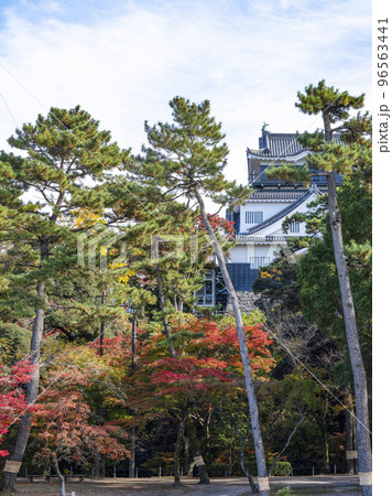 岡崎城(愛知県、11下旬) 岡崎城(愛知県、11下旬) 96563441