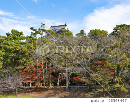 岡崎城（愛知県、11下旬） 96563447