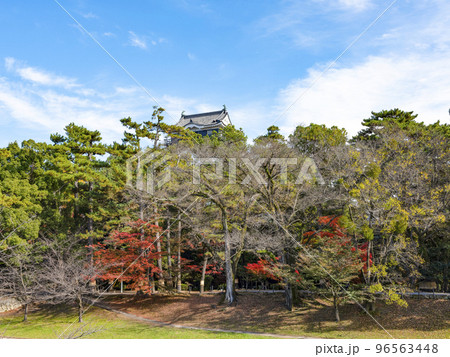 岡崎城（愛知県、11下旬） 96563448